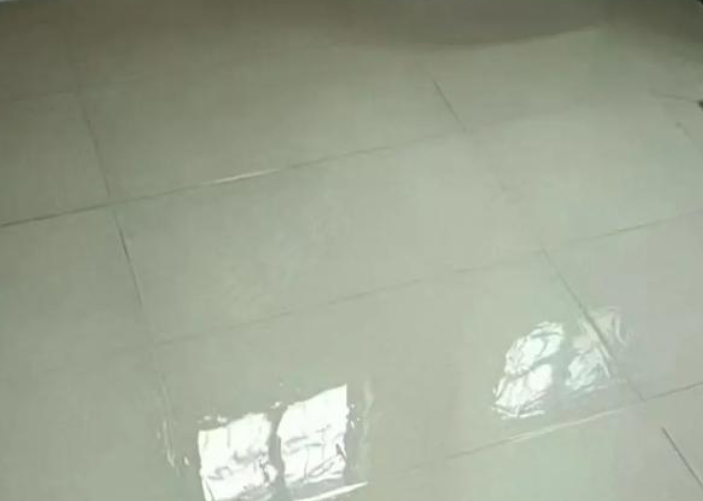 שͿ